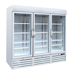 Upright Display Freezer Glass Door Refrigerator Freezer Big Freezer